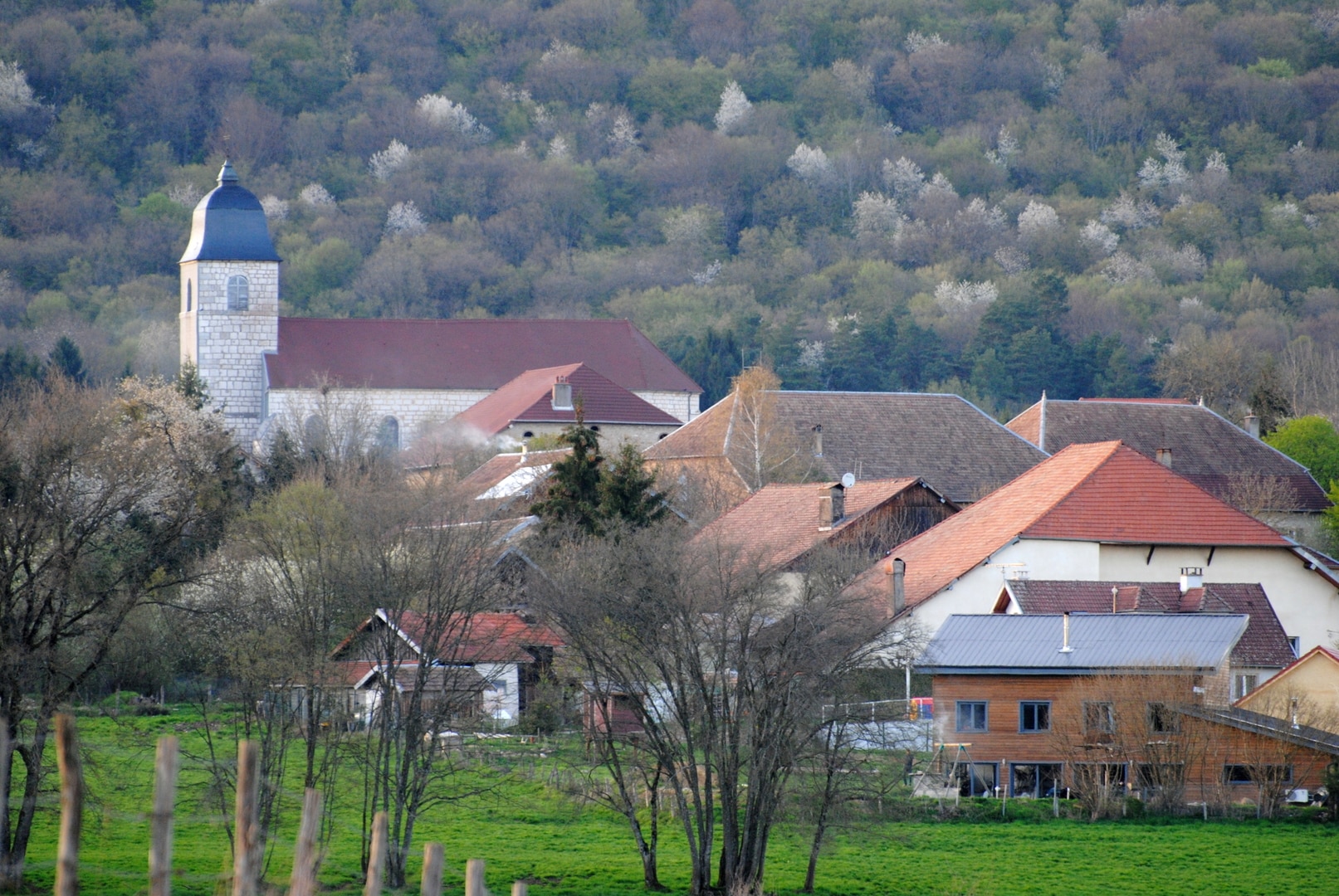 Michel Cottet