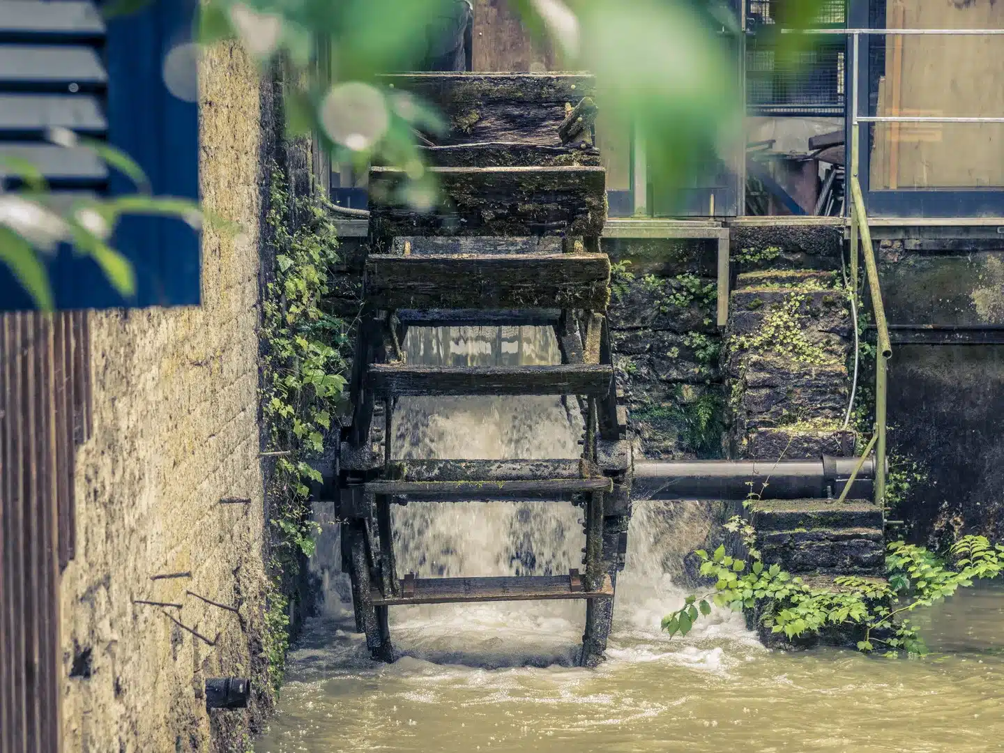 PONT LES MOULINS Association Oeil de Lynx