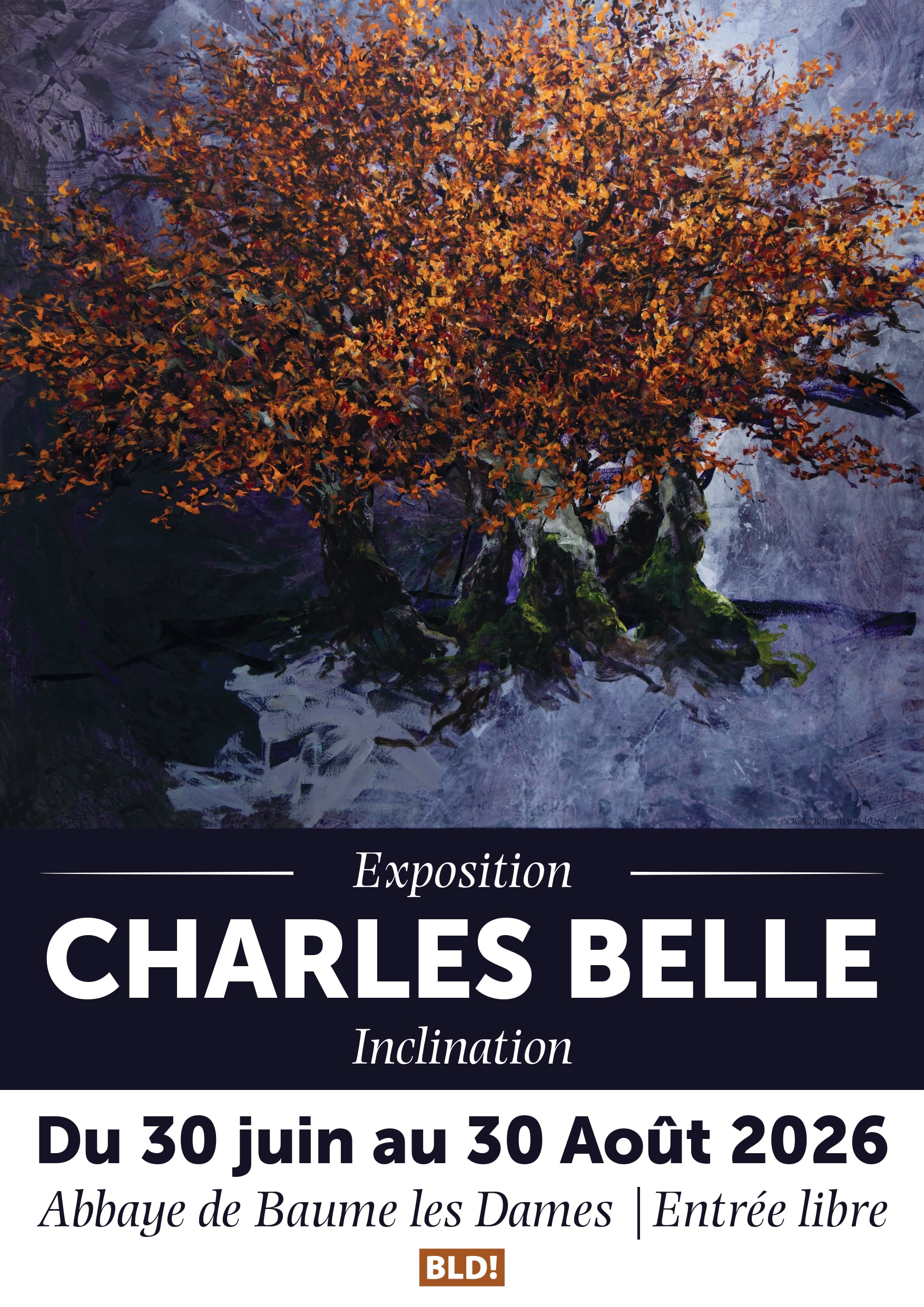 Affiche promotionnelle A3_page-0001