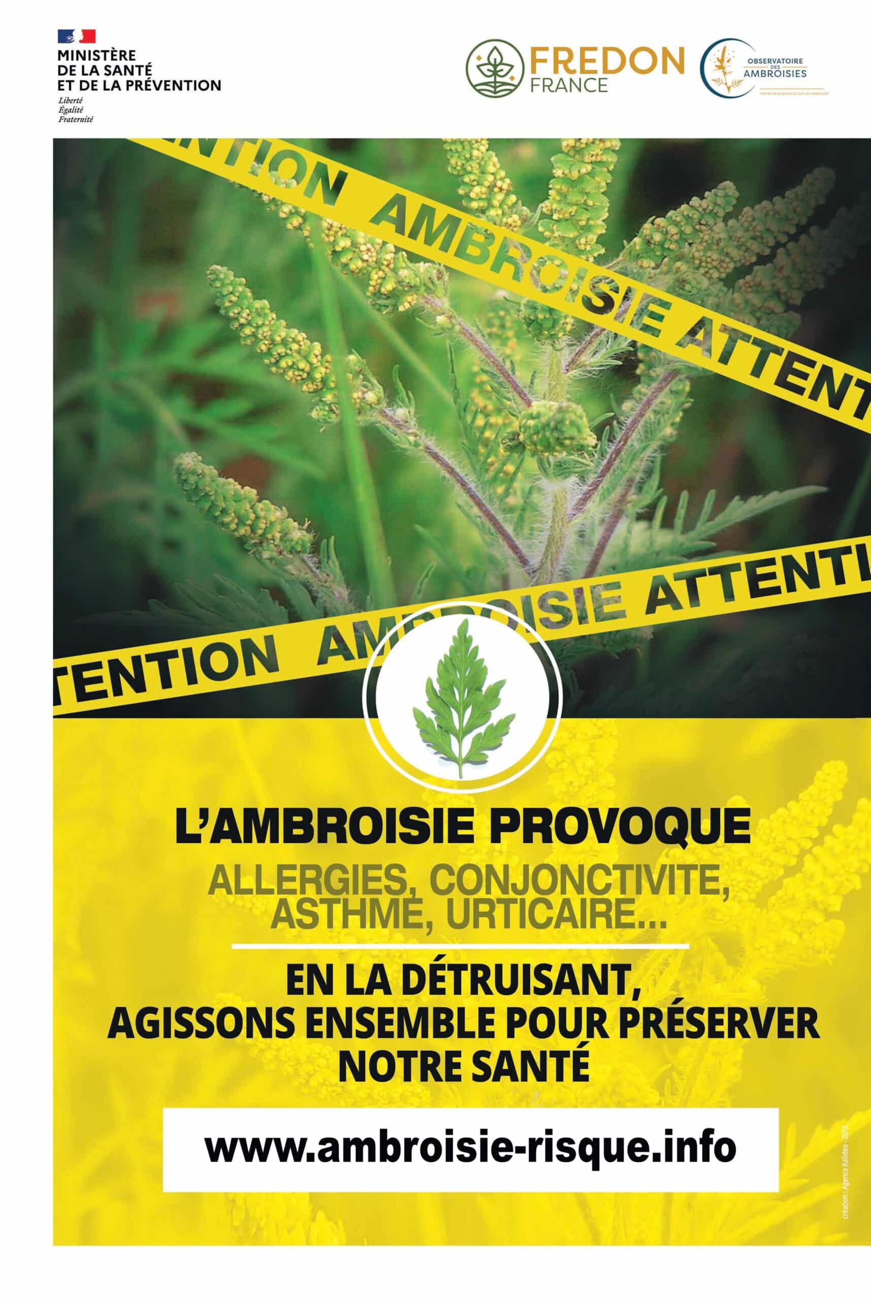 affiche ambroisie